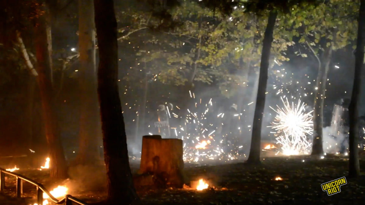 Fireworks explode in front of Greek riot police holding shields and wearing riot gear. Fires burn around trees from molotov cocktails thrown by demonstrators. 