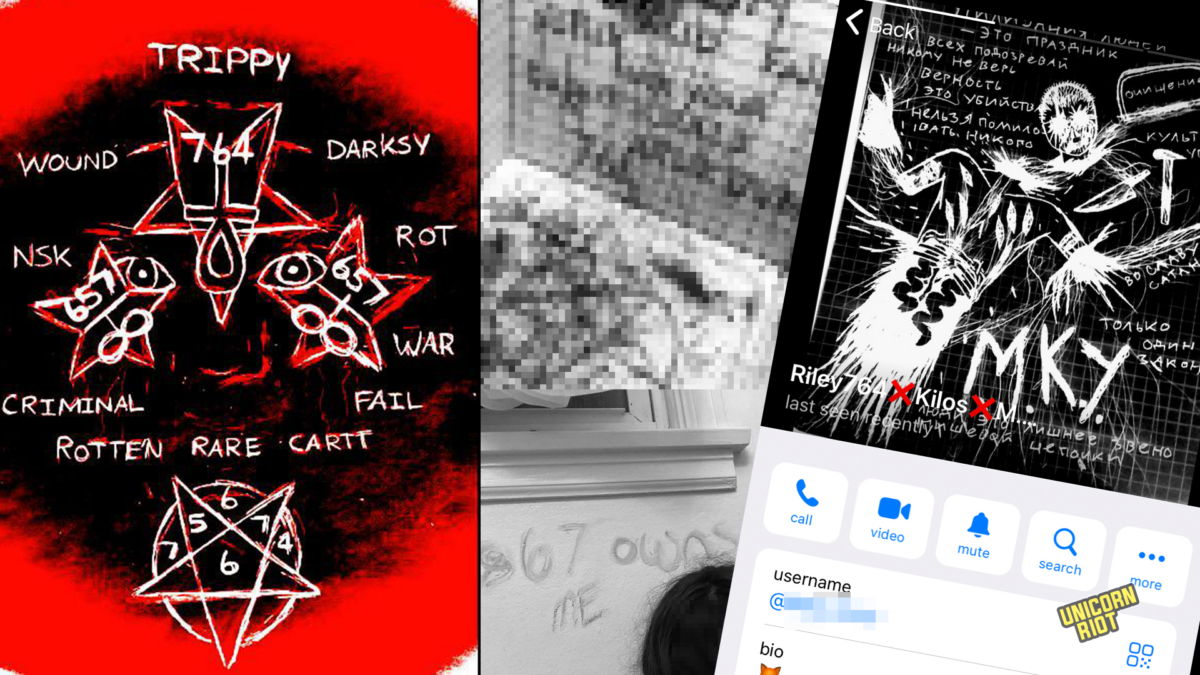 Sextortion Coms: Inside a Vile Child Exploitation Cult Run by Nazi-Linked Teens - UNICORN RIOT