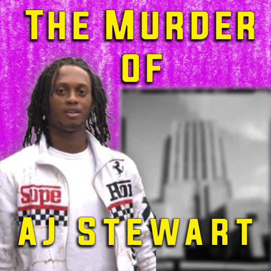 The Murder of AJ Stewart